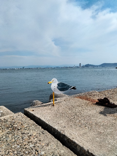 f:id:larosebleuemam:20220506155811j:image f:id:larosebleuemam:20220506155811j:image