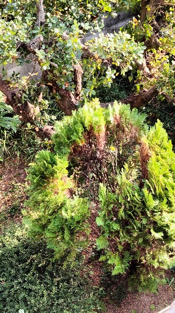 f:id:larosebleuemam:20221121145508j:image f:id:larosebleuemam:20221121145508j:image