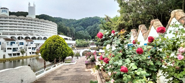 f:id:larosebleuemam:20240524205010j:image