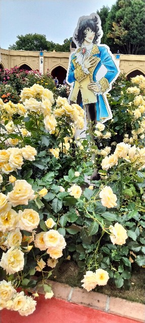 f:id:larosebleuemam:20240525155532j:image