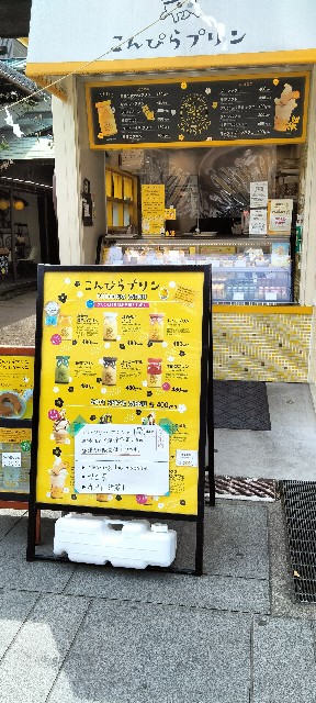 f:id:larosebleuemam:20250409100926j:image