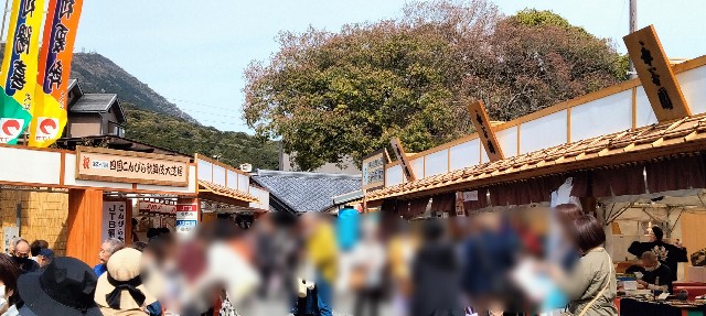 f:id:larosebleuemam:20250409102657j:image