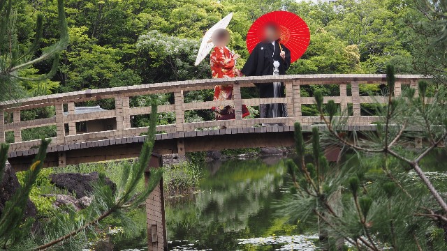 f:id:larosebleuemam:20250527092826j:image