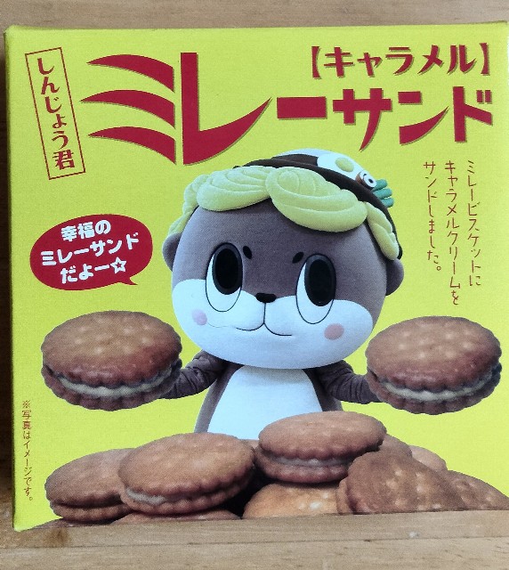 f:id:larosebleuemam:20250613142916j:image