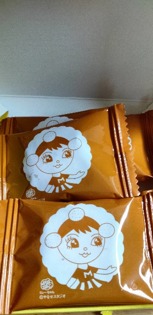 f:id:larosebleuemam:20250613144055j:image