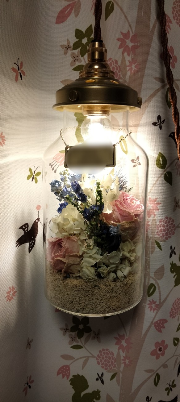 f:id:larosebleuemam:20260303092242j:image f:id:larosebleuemam:20260303092242j:image