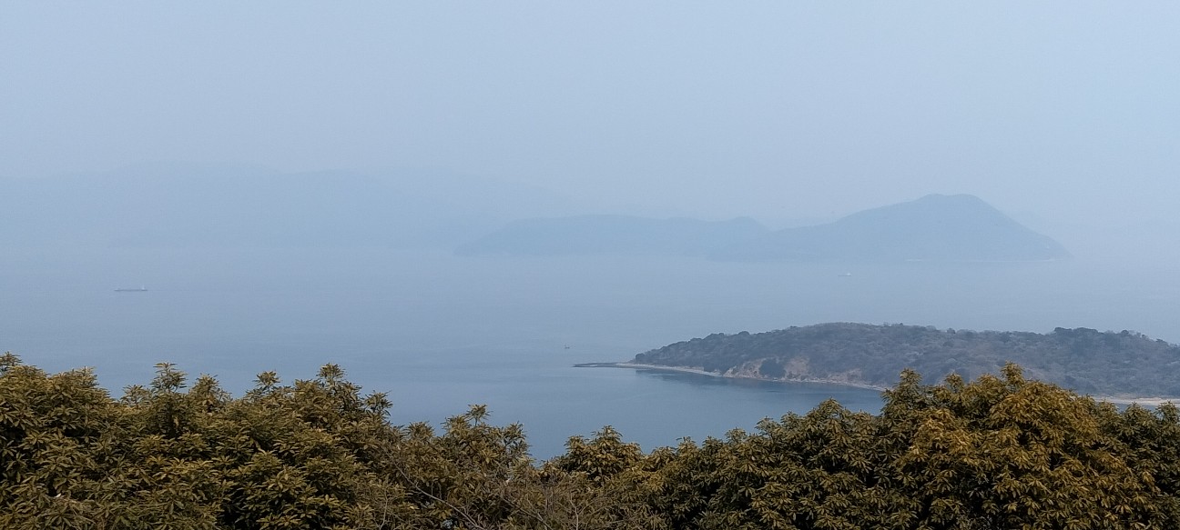 f:id:larosebleuemam:20260330095443j:image
