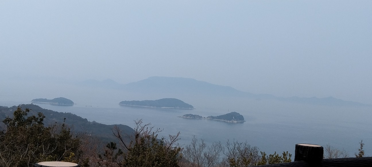 f:id:larosebleuemam:20260330095446j:image