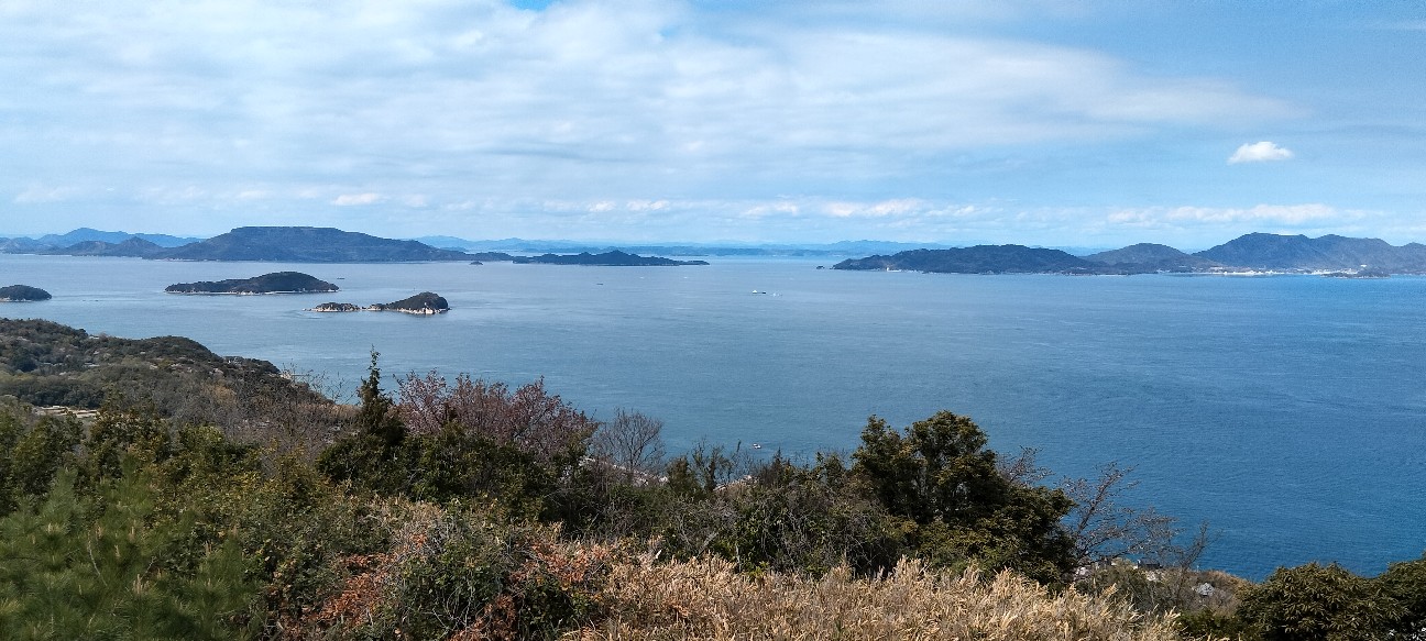 f:id:larosebleuemam:20260405173435j:image