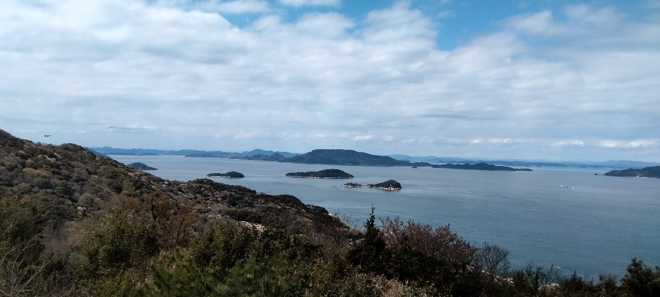 f:id:larosebleuemam:20260405173437j:image