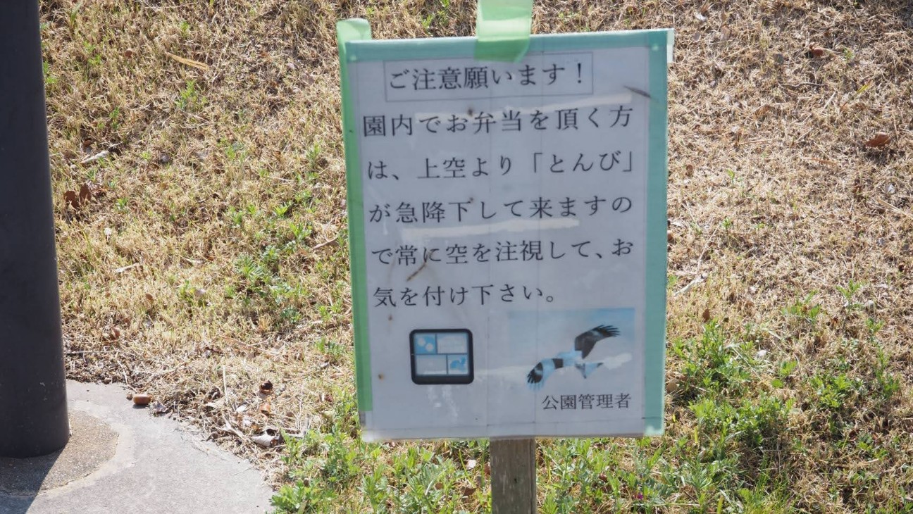 f:id:larosebleuemam:20260405174035j:image