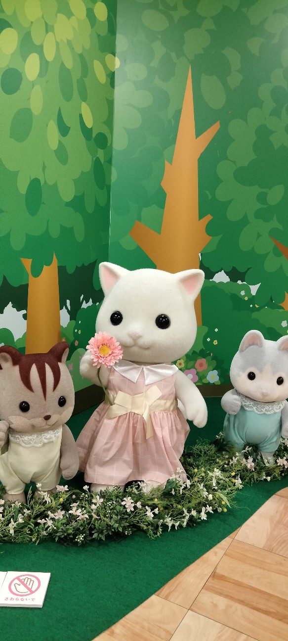 f:id:larosebleuemam:20260521161112j:image