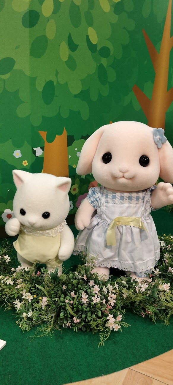 f:id:larosebleuemam:20260521161118j:image