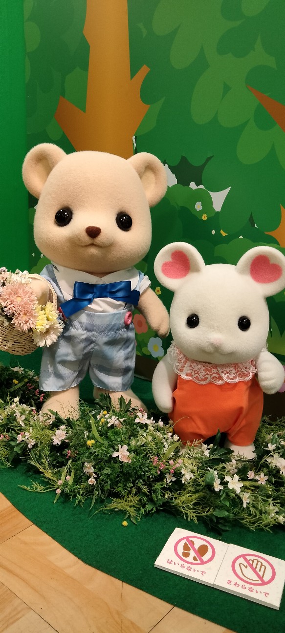 f:id:larosebleuemam:20260521161124j:image