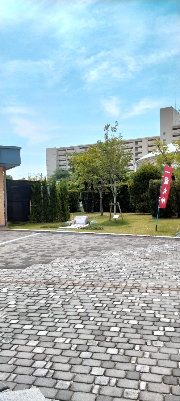 f:id:larosebleuemam:20260615082148j:image