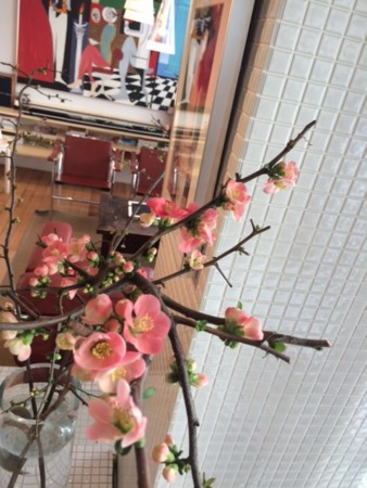 f:id:larte:20150207121421j:image:w360