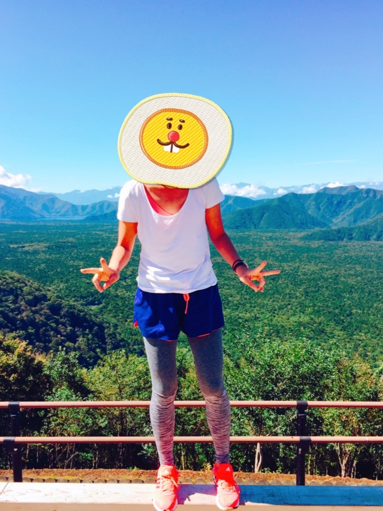 f:id:lassanai:20180209165602j:plain f:id:lassanai:20180209165602j:plain