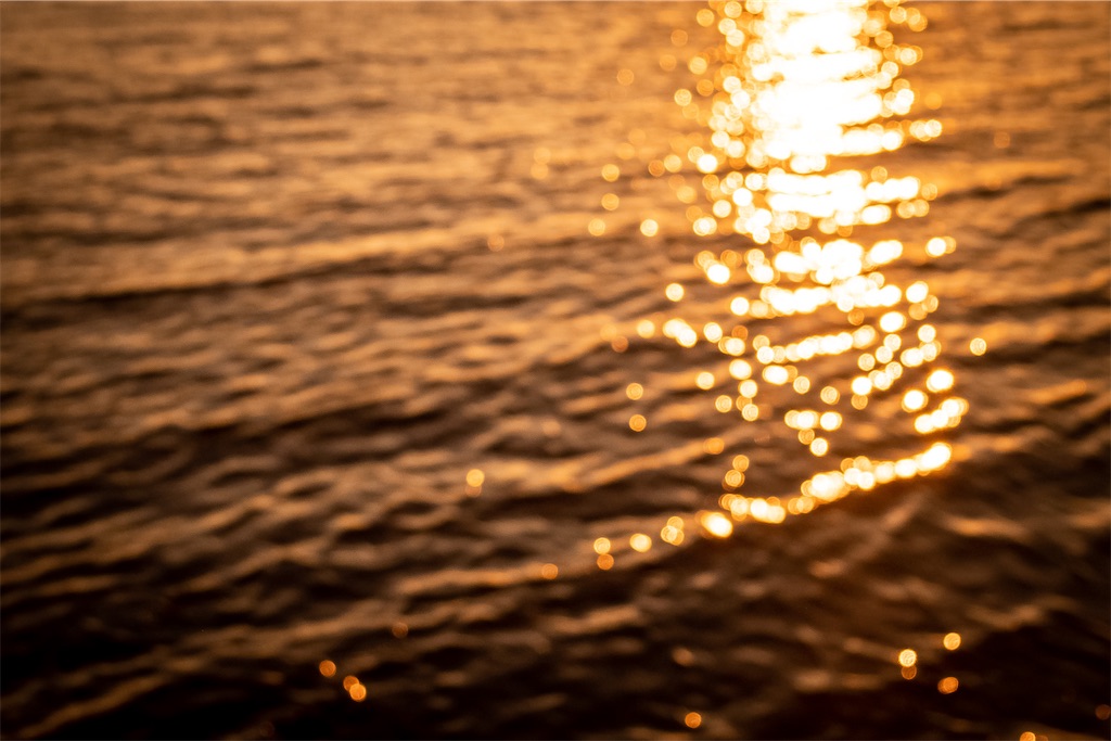 f:id:lastgarden69x:20230128164109j:image