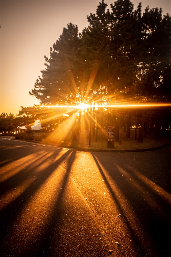 f:id:lastgarden69x:20230128164115j:image