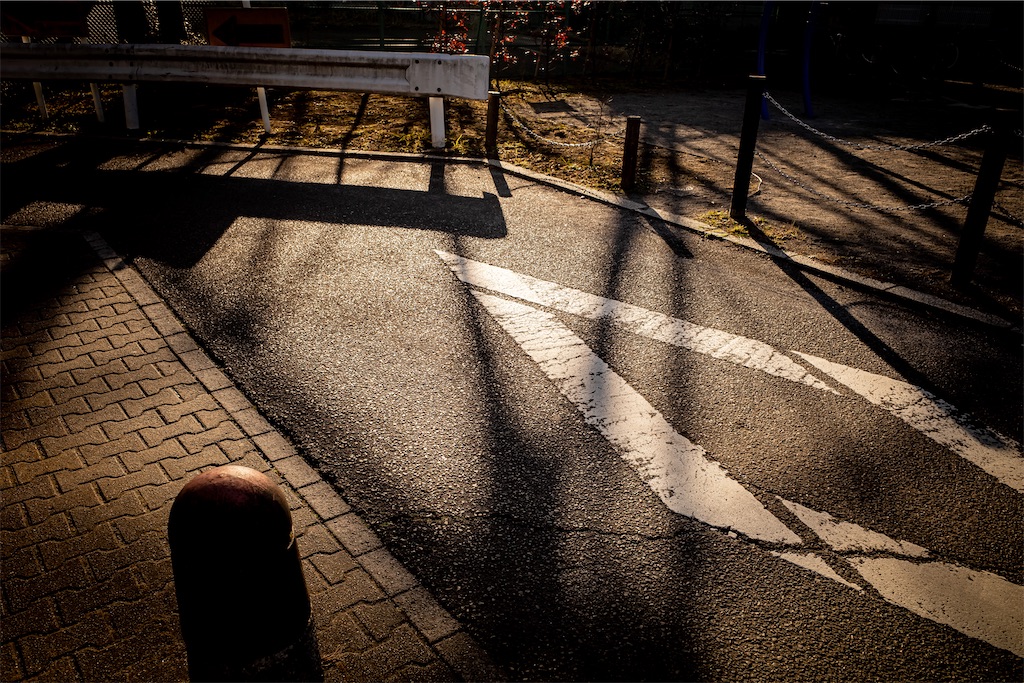 f:id:lastgarden69x:20230303163559j:image