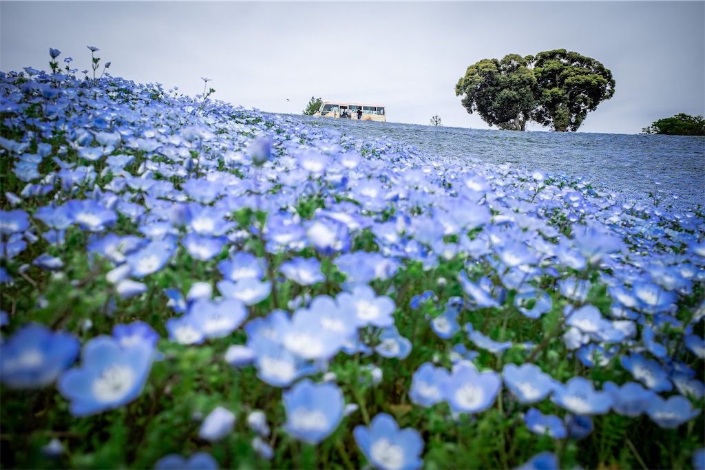 f:id:lastgarden69x:20230505144445j:image