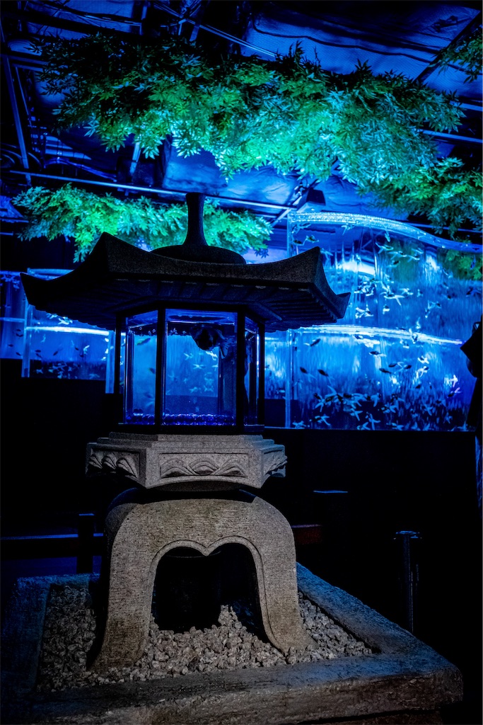 f:id:lastgarden69x:20230724153213j:image