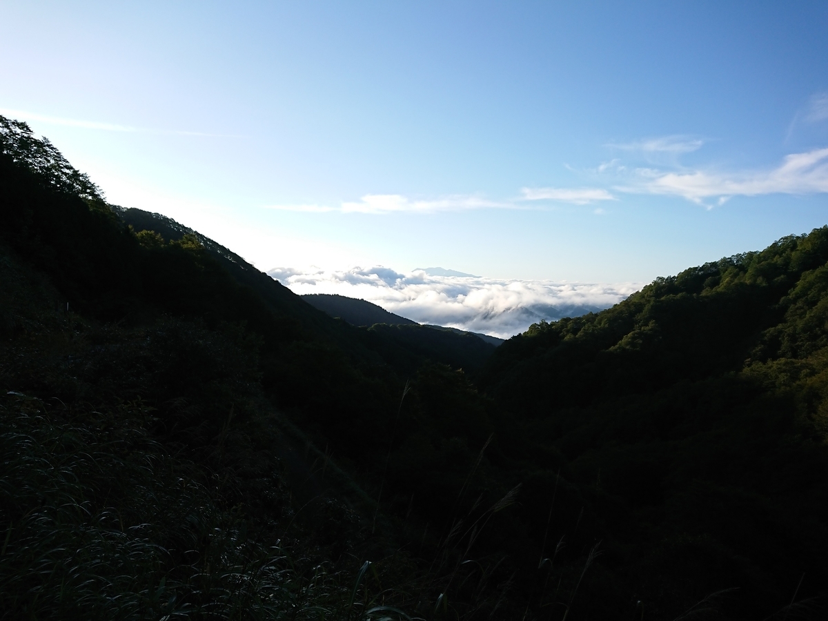 f:id:lastil_PICOelfy235:20190930234151j:plain f:id:lastil_PICOelfy235:20190930234151j:plain