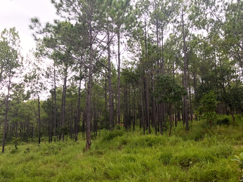 f:id:lastmilers:20170913131638j:plain