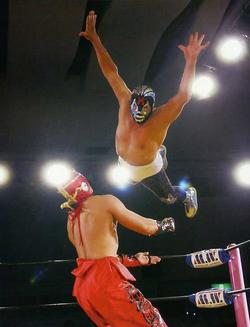 f:id:lastseen1013:20150211120557j:plain