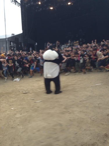 f:id:lastseen1013:20160402190708j:plain f:id:lastseen1013:20160402190708j:plain