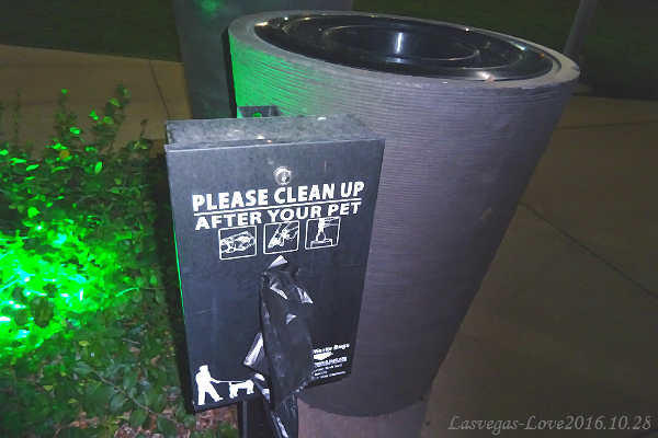 f:id:lasvegas-love:20170618030945j:plain f:id:lasvegas-love:20170618030945j:plain