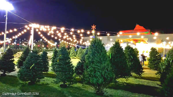 f:id:lasvegas-love:20170618031339j:plain f:id:lasvegas-love:20170618031339j:plain