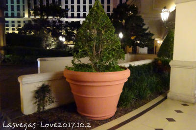 f:id:lasvegas-love:20171007001940j:plain