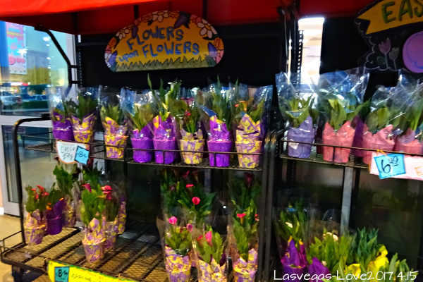 f:id:lasvegas-love:20171025221128j:plain f:id:lasvegas-love:20171025221128j:plain