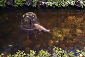 f:id:lasvegas-love:20171202212100j:plain