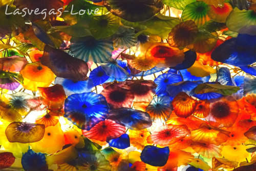 f:id:lasvegas-love:20171202221850j:plain