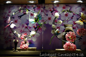 f:id:lasvegas-love:20171203024452j:plain