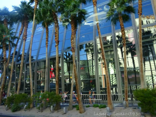 f:id:lasvegas-love:20180304115421j:plain