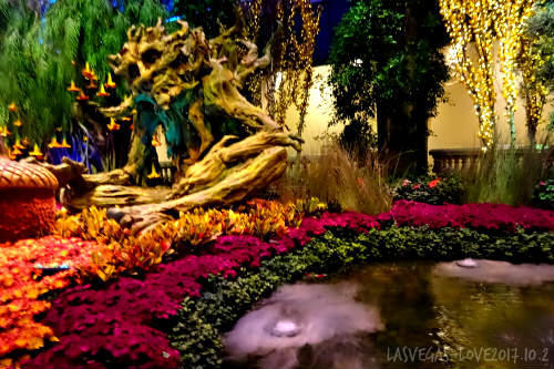 f:id:lasvegas-love:20180510170900j:plain