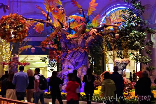 f:id:lasvegas-love:20180510171019j:plain