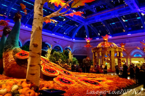 f:id:lasvegas-love:20180510171157j:plain