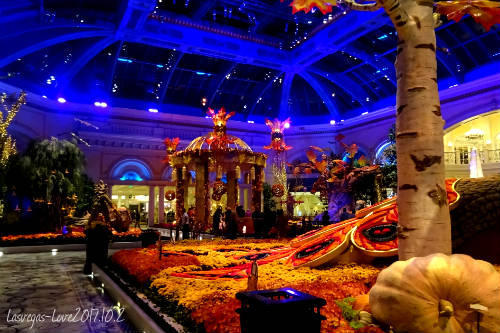 f:id:lasvegas-love:20180510171220j:plain