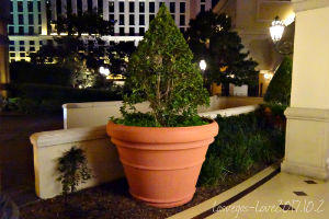 f:id:lasvegas-love:20180510172820j:plain