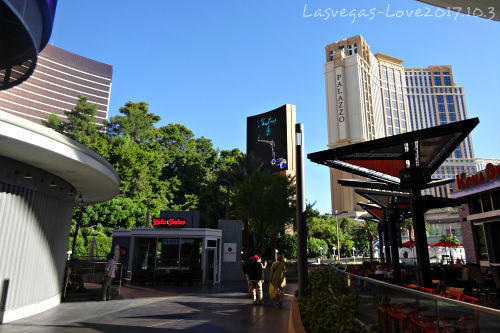 ストリップ方向 ファッションショー