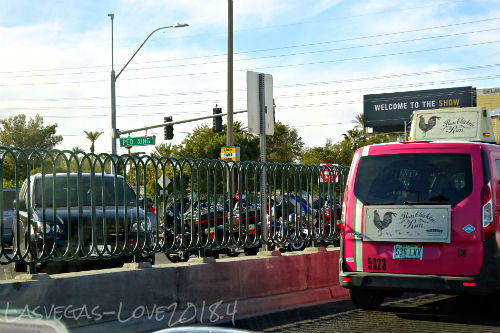 中央分離帯　駐車場