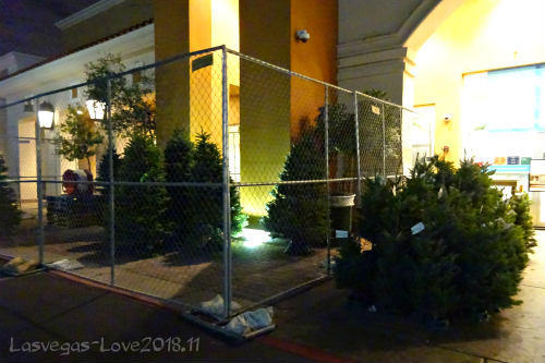 ホールフーズ　ツリー