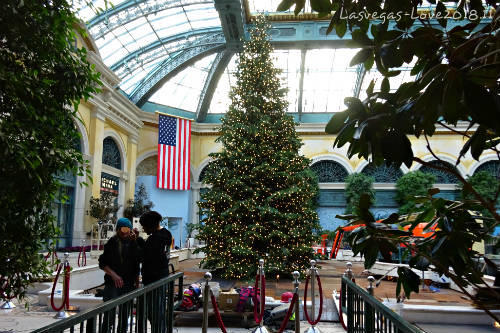 f:id:lasvegas-love:20181221233020j:plain