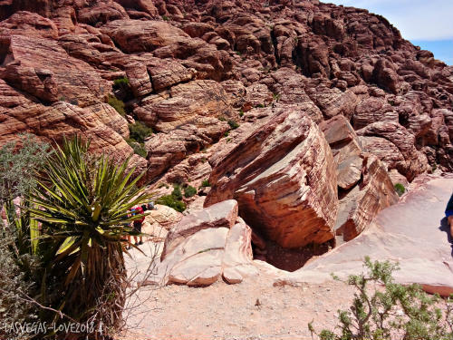 f:id:lasvegas-love:20190208233705j:plain