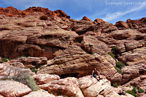 f:id:lasvegas-love:20190209182856j:plain