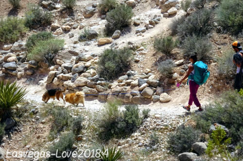 f:id:lasvegas-love:20190209233254j:plain